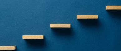 Infocus - The characteristics of the current central bank hiking cycle